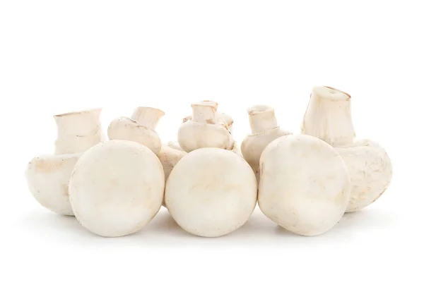 Fresh champignon mushrooms on white background — Stock Photo, Image