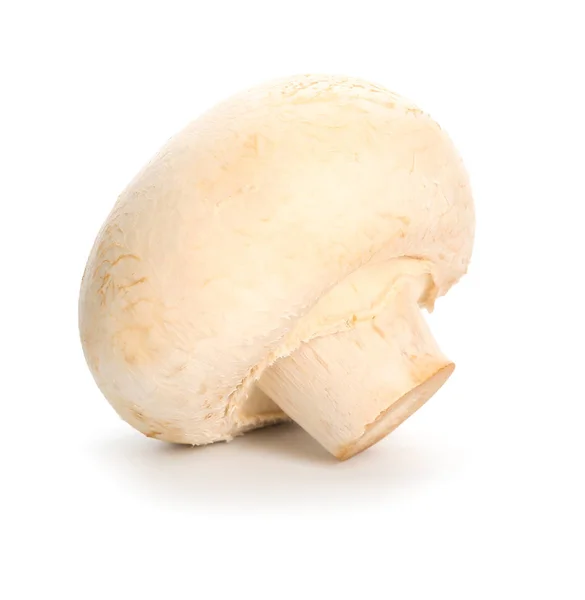 Fungo champignon fresco su sfondo bianco — Foto Stock