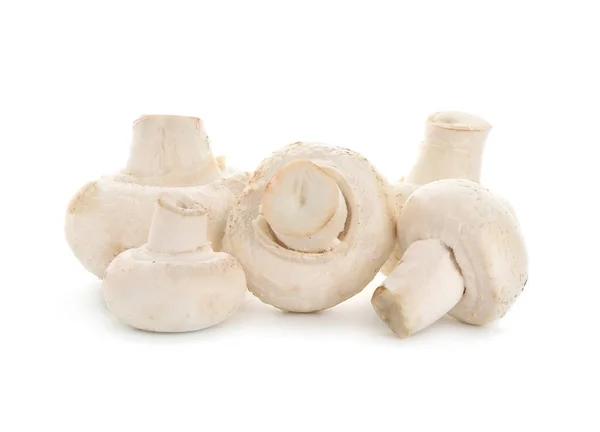 Fresh champignon mushrooms on white background — Stock Photo, Image