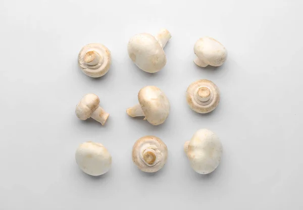 하얀 배경에 새로 나온 샹폴리옹 버섯 — 스톡 사진