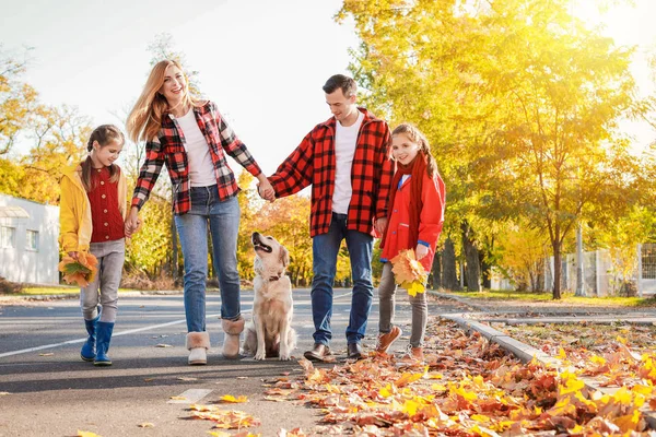 秋の公園を歩く犬と幸せな家族 — ストック写真