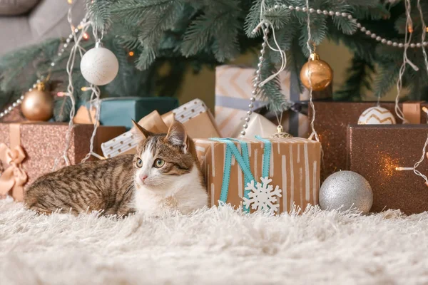 Niedliche lustige Katze, die zu Hause unter dem Weihnachtsbaum liegt — Stockfoto