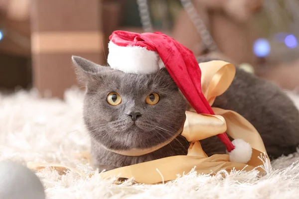 Roztomilý legrační kočka v klobouku Santa doma — Stock fotografie
