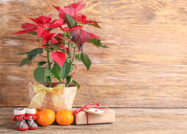 Christmas flower poinsettia on wooden table — Stock Photo, Image