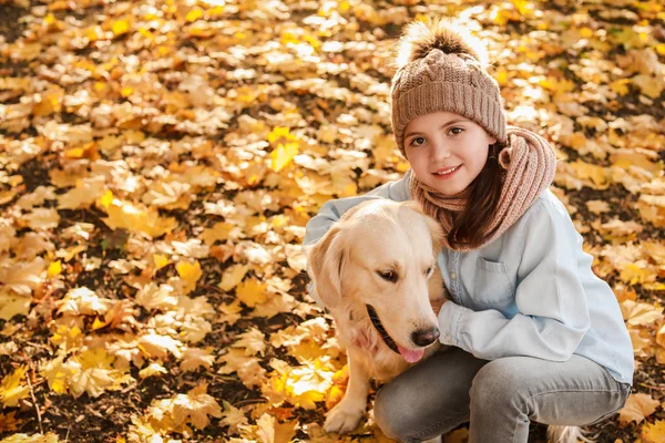 秋の公園でかわいい犬と女の子 — ストック写真