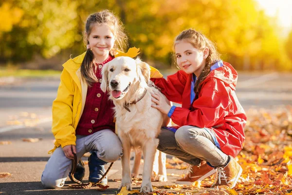 Cute girls with dog in autumn park — ストック写真