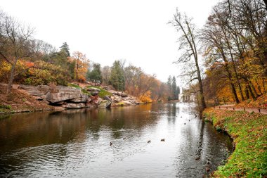 Sonbahar parkındaki güzel gölet manzarası