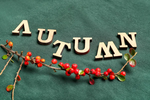 Woord Herfst met bessen op sweatshirt, close-up — Stockfoto