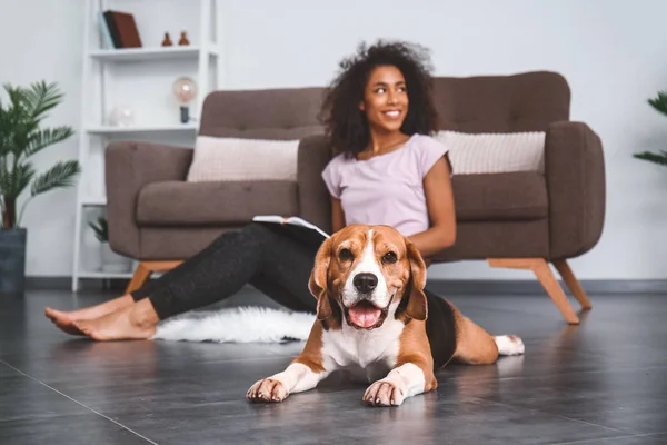 Mulher afro-americana bonita com cão bonito em casa — Fotografia de Stock
