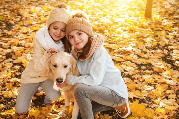 가을 공원에 귀여운 개를 데리고 있는 어린 소녀들 — 스톡 사진