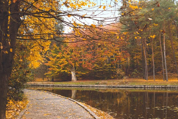 View of beautiful pond in autumn park — Stock Photo, Image