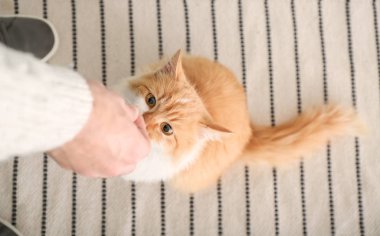 Mutfakta kediyi besleyen adam.