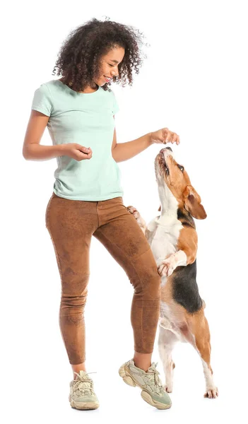 Beautiful African-American woman training her dog on white background — Stock Photo, Image
