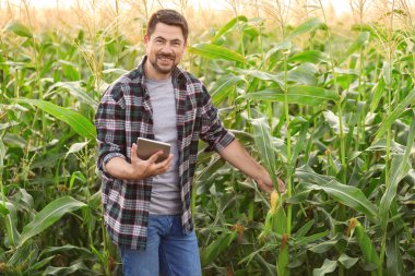 Erkek tarım mühendisi sahada çalışıyor.