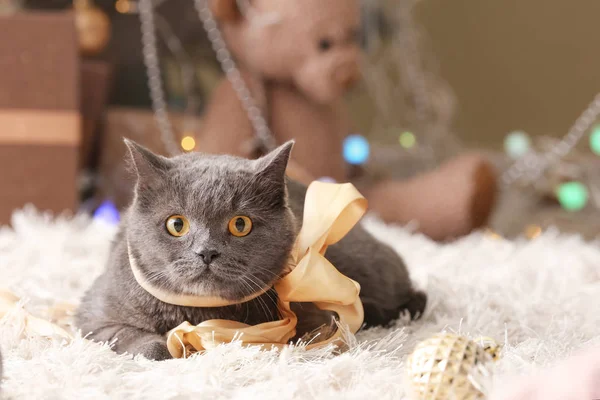 Cute funny cat in room decorated for Christmas — ストック写真