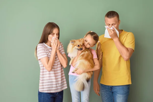 Bambina con cane e genitori che soffrono di allergia animale domestico su sfondo di colore — Foto Stock