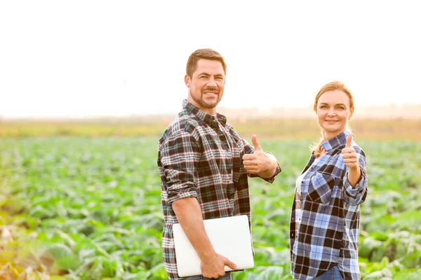 Ingegneri agricoli che lavorano sul campo — Foto Stock