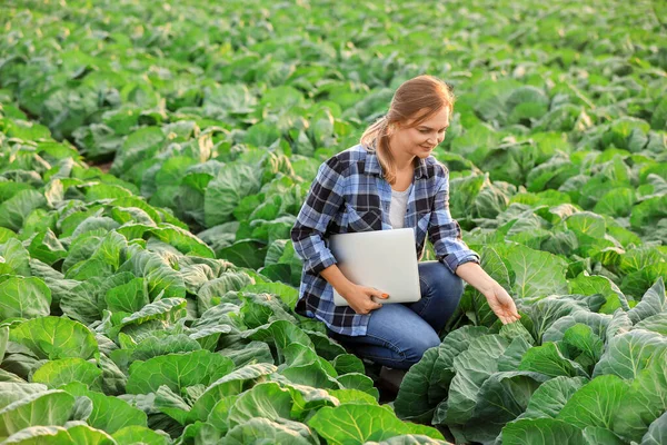 Engenheira agrícola feminina trabalhando no campo — Fotografia de Stock