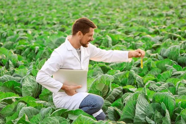 Manlig jordbruksingenjör som arbetar i fält — Stockfoto