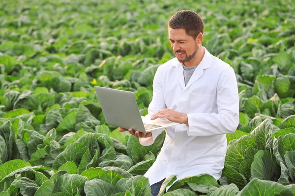 Male agricultural engineer working in field — Stock Photo, Image