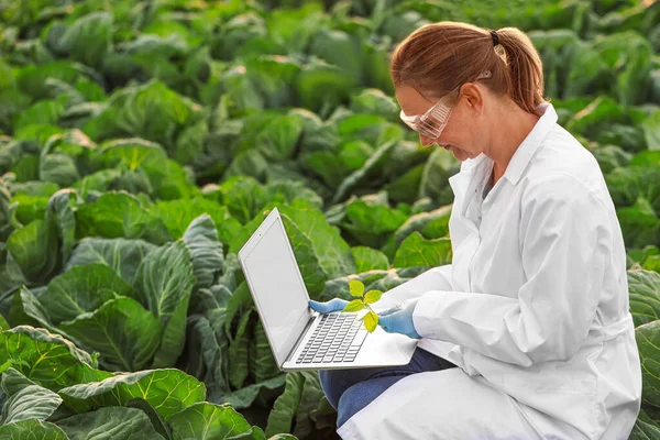Female agricultural engineer working in field — Stock Photo, Image