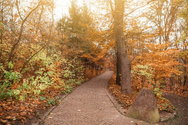 View of beautiful autumn park — Stock Photo, Image