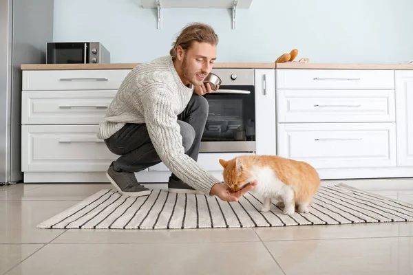 Man feeding cute cat in kitchen — Stock Photo, Image