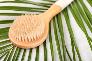 Hafif arkaplanda fırça ve tropikal yaprak