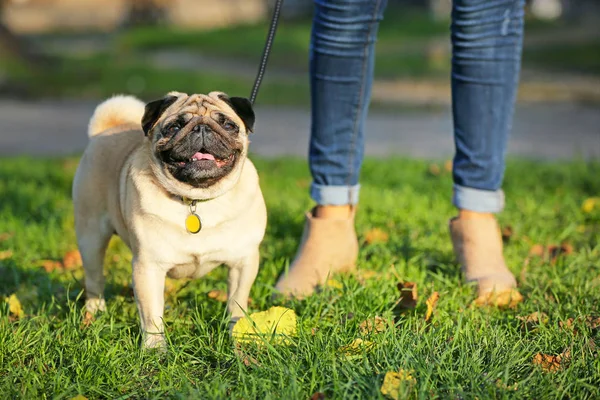 Lindo perrito con dueño paseando en el parque — Foto de Stock