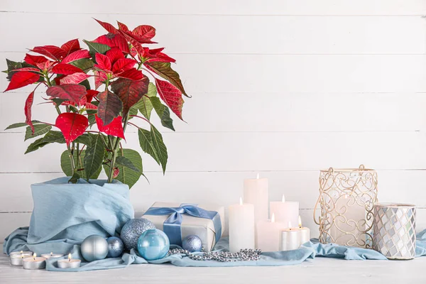 Natal poinsettia planta com decoração e presente no fundo branco — Fotografia de Stock