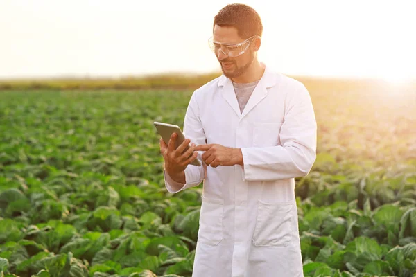 Ingeniero agrícola masculino trabajando en el campo — Foto de Stock