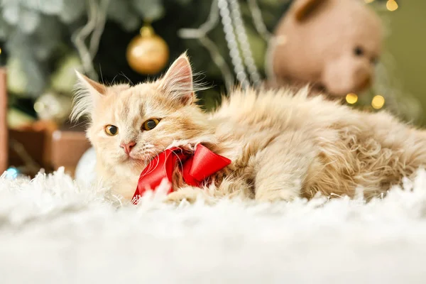 Niedliche lustige Katze im weihnachtlich dekorierten Zimmer — Stockfoto