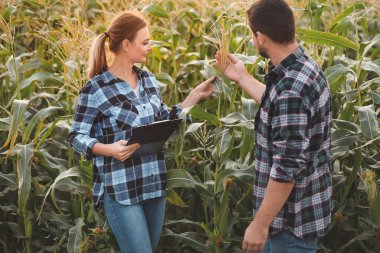 Tarımsal mühendisler bu alanda çalışıyor.