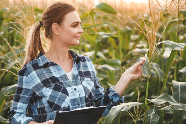 Female agricultural engineer working in field — Stock Photo, Image