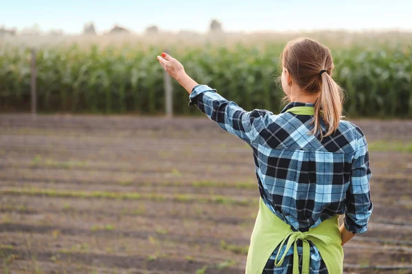 Female agricultural engineer working in field — Stock Photo, Image