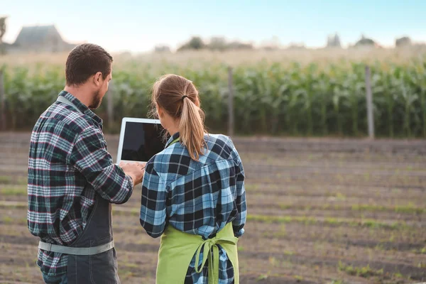 Agricultural engineers working in field — Stock Photo, Image