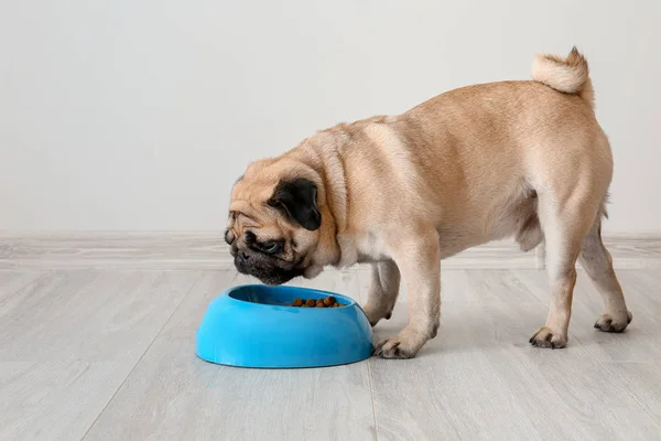 Lindo perrito comiendo comida de cuenco en casa — Foto de Stock