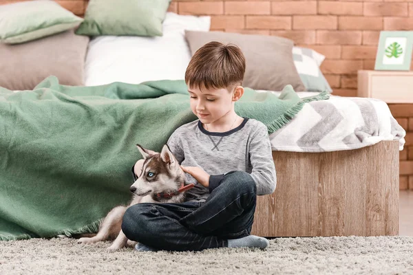 Kisfiú aranyos husky kiskutya a hálószobában — Stock Fotó