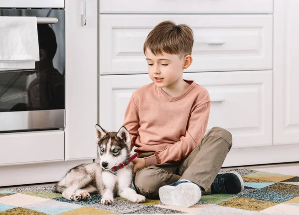 Menino com filhote de cachorro bonito na cozinha — Fotografia de Stock