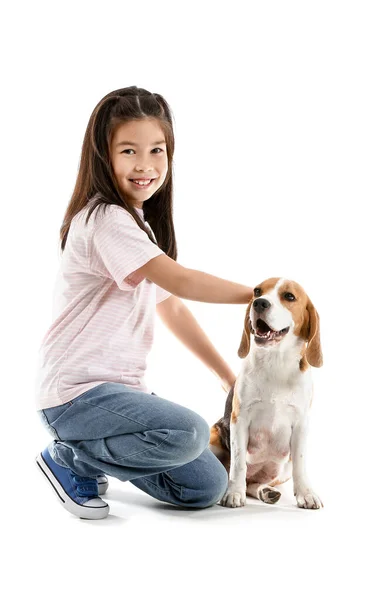 Kleine asiatische Mädchen mit niedlichen Beagle Hund auf weißem Hintergrund — Stockfoto