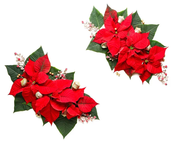 Krásná vánoční kompozice s poinsettia na bílém pozadí — Stock fotografie