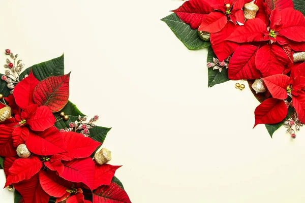 Bela composição de Natal com poinsettia no fundo branco — Fotografia de Stock