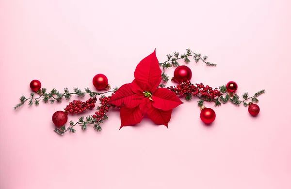 Piękna kompozycja świąteczna z poinsetcją na tle koloru — Zdjęcie stockowe
