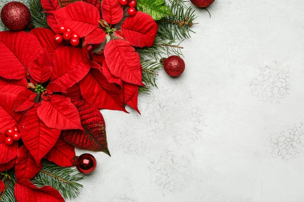 Hermosa composición navideña con poinsettia sobre fondo claro —  Fotos de Stock