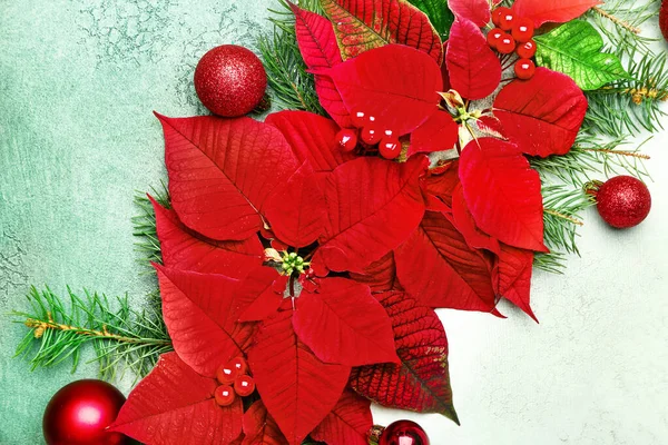 Beautiful Christmas composition with poinsettia on color background — Stock Photo, Image