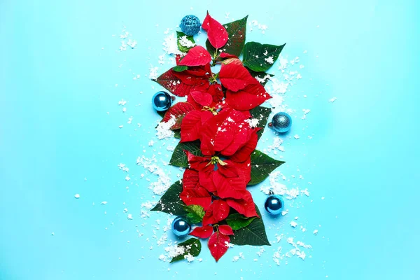Bella composizione natalizia con poinsettia su sfondo a colori — Foto Stock