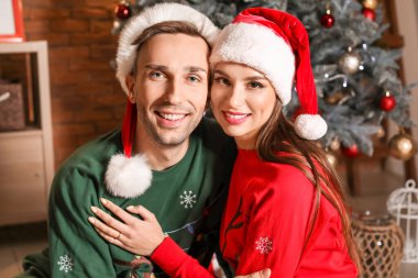 Noel arifesinde evde Mutlu çift