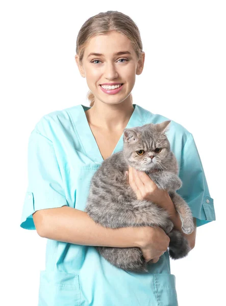 Veterinarian with cute cat on white background — Stock Photo, Image
