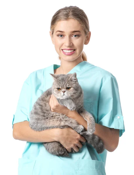 Veterinarian with cute cat on white background — Stock Photo, Image