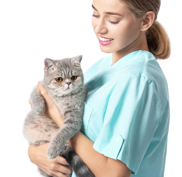 Veterinární lékař s roztomilou kočkou na bílém pozadí — Stock fotografie